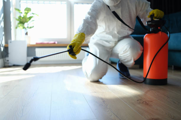 Best Affordable Pest Control Services  in Chisago City, MN