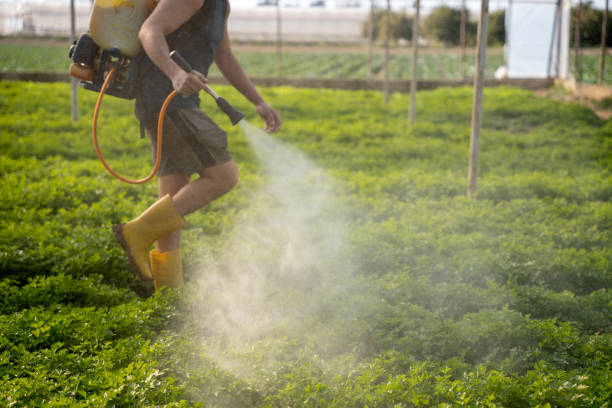 Best Pest Control Near Me  in Chisago City, MN
