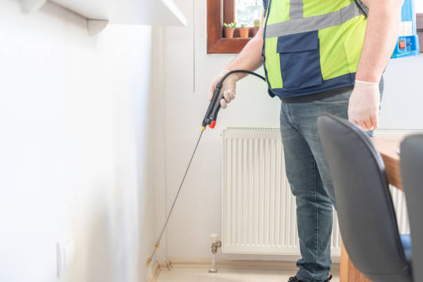 Best Affordable Pest Control Services  in Chisago City, MN