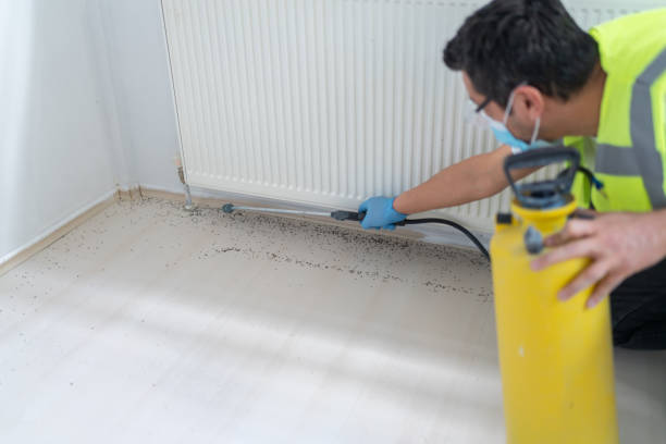 Best Emergency Pest Control  in Chisago City, MN
