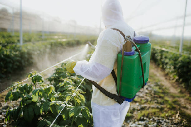 Best Best Pest Control Companies  in Chisago City, MN